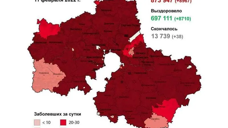 Одинцовский округ и Красногорск. Новых антилидеров по COVID-19 назвали в Подмосковье