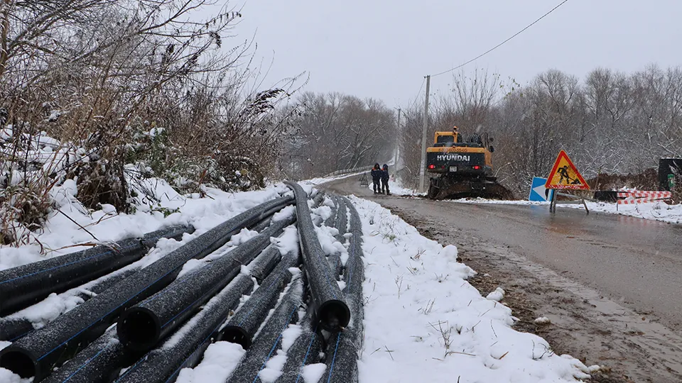 Фото: МедиаБанк Подмосковья/Ирина Матвеева
