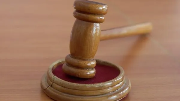 По 15 лет получили двое участников ИГИЛ за подготовку теракта в Подмосковье