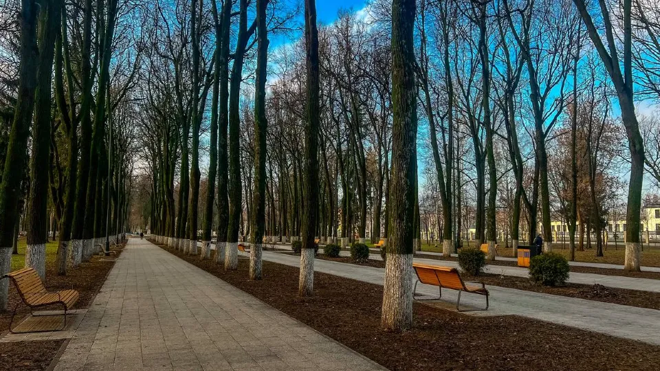 Фото: пресс-служба администрации г.о. Коломна