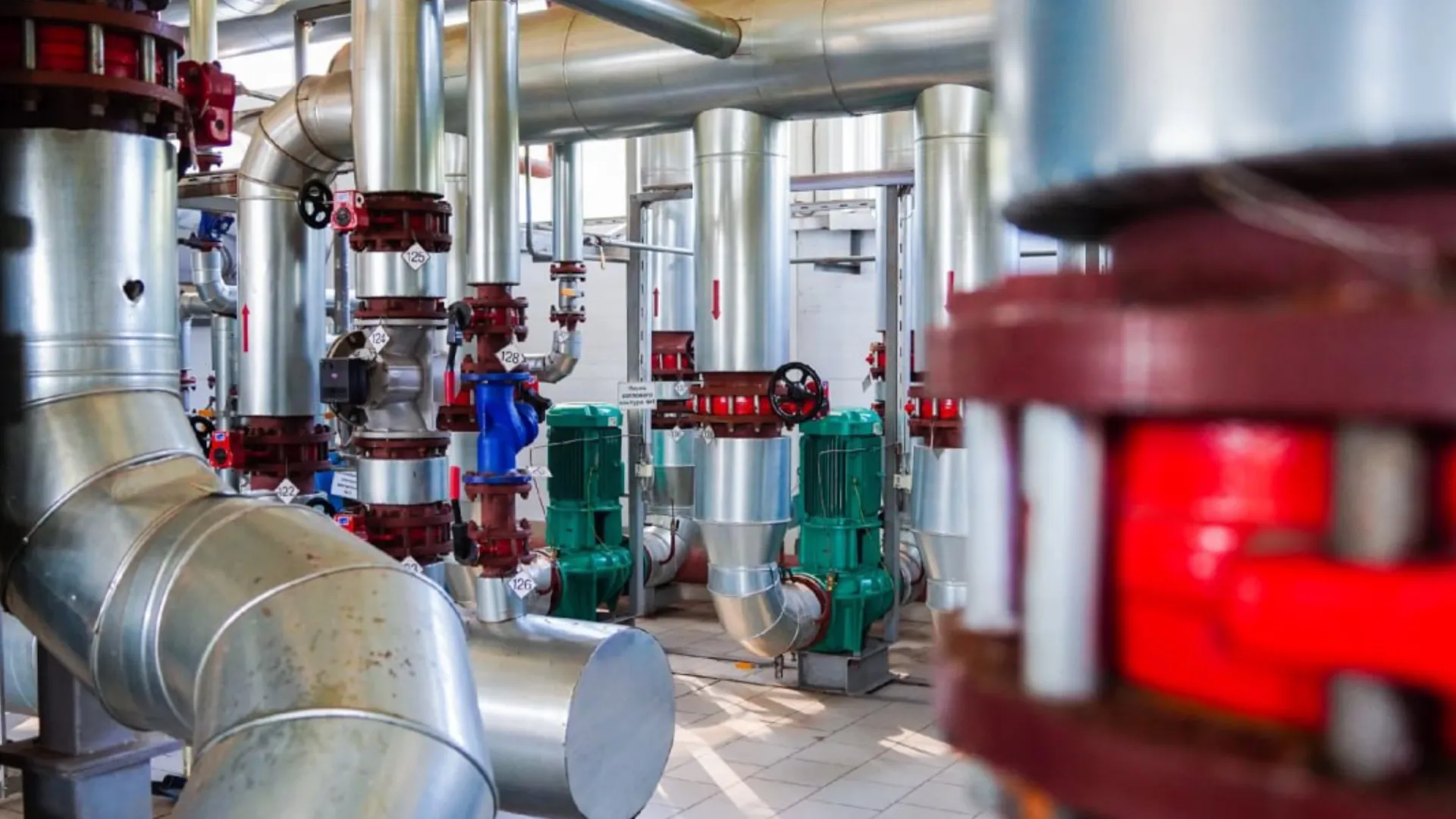 Фото: пресс-служба администрации городского округа Шатура