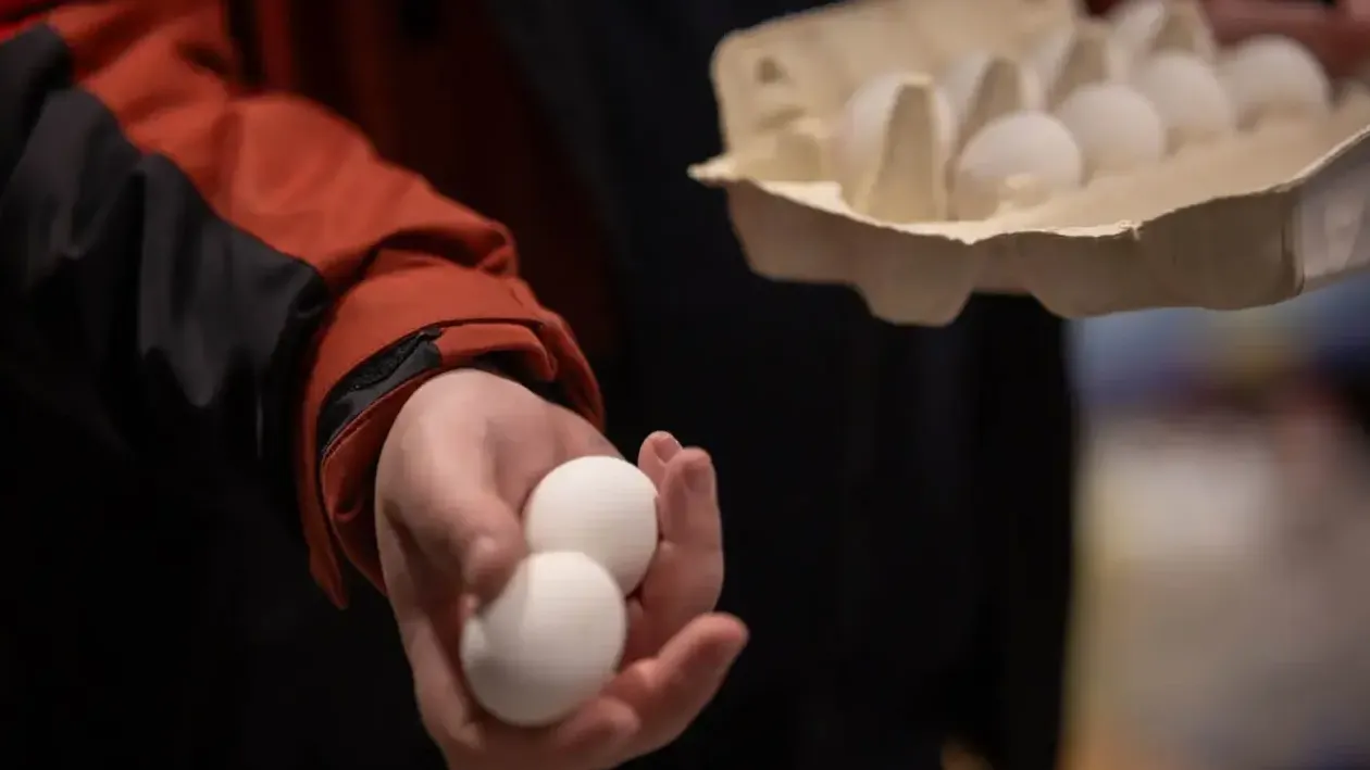 REGIONS/Роман Малышенко