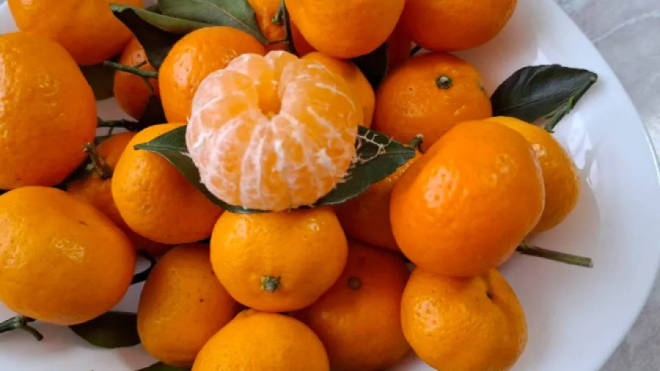 Фото: REGIONS/Юлия Габбасова