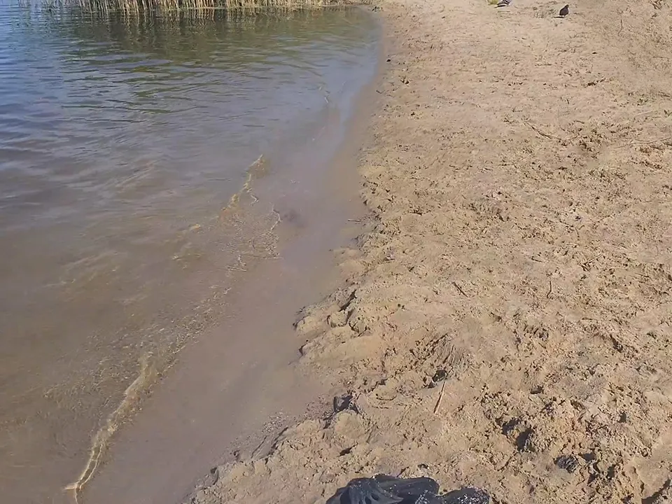 Фото: МедиаБанк Подмосковья/Михаил Мартыненко<br>