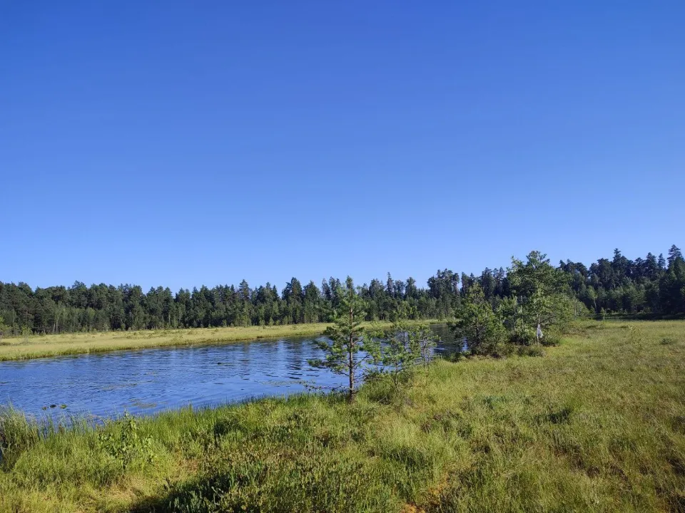 Фото:&nbsp; Анна Карташева