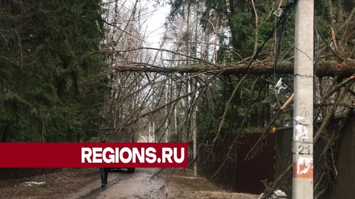 Фото: МБУ «ДОДХИБИМР»