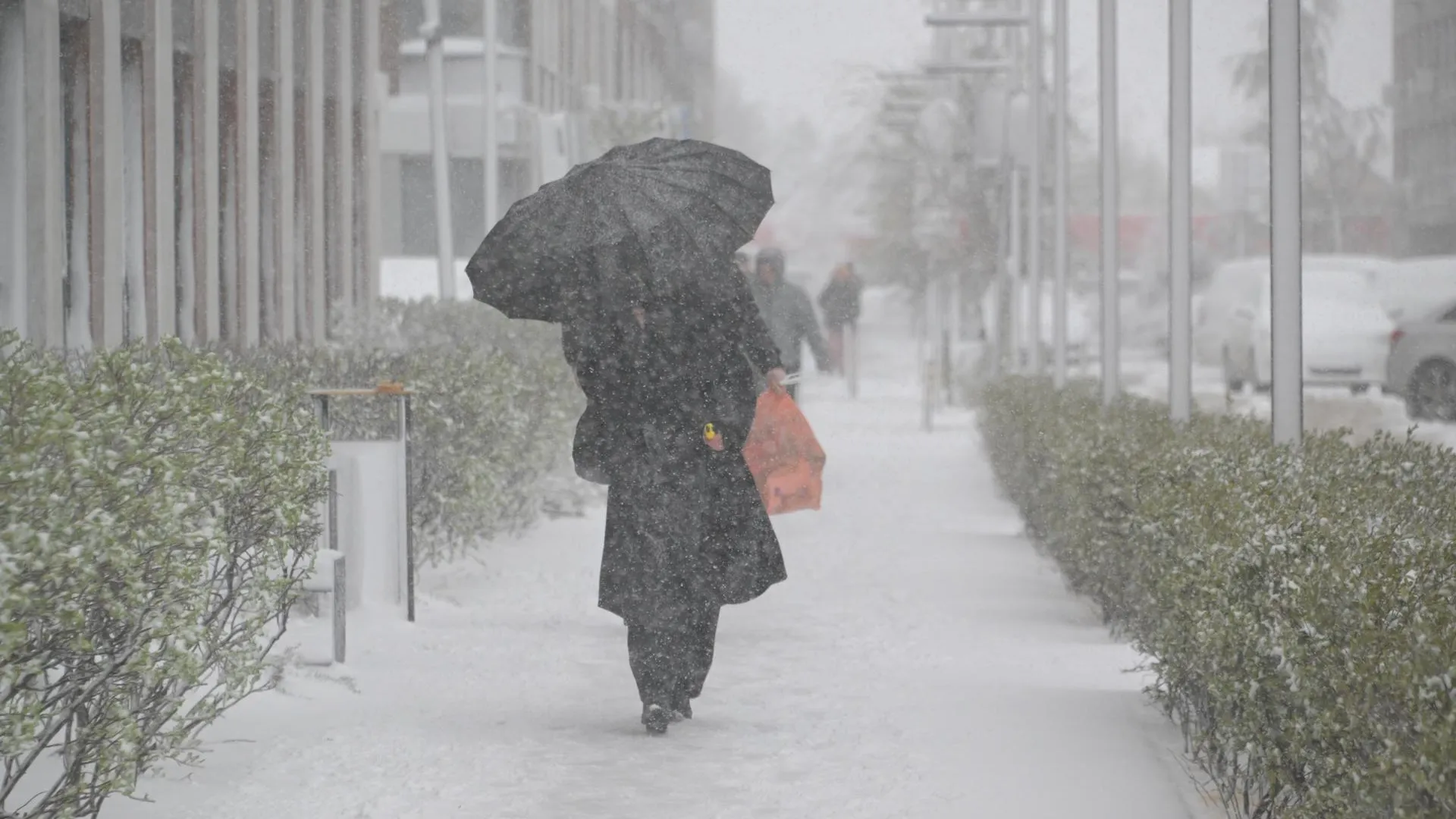 Komsomolskaya Pravda