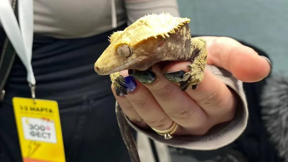 Фото: REGIONS/Юлиан Миранду