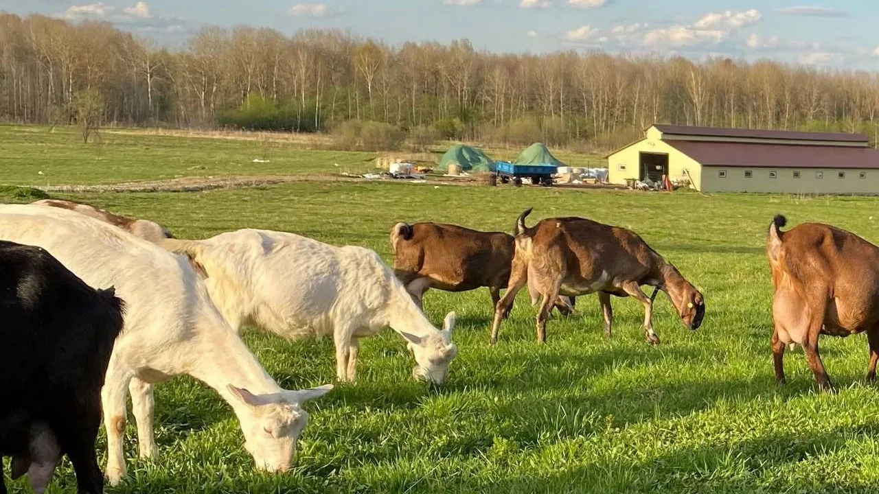 Фото фермера