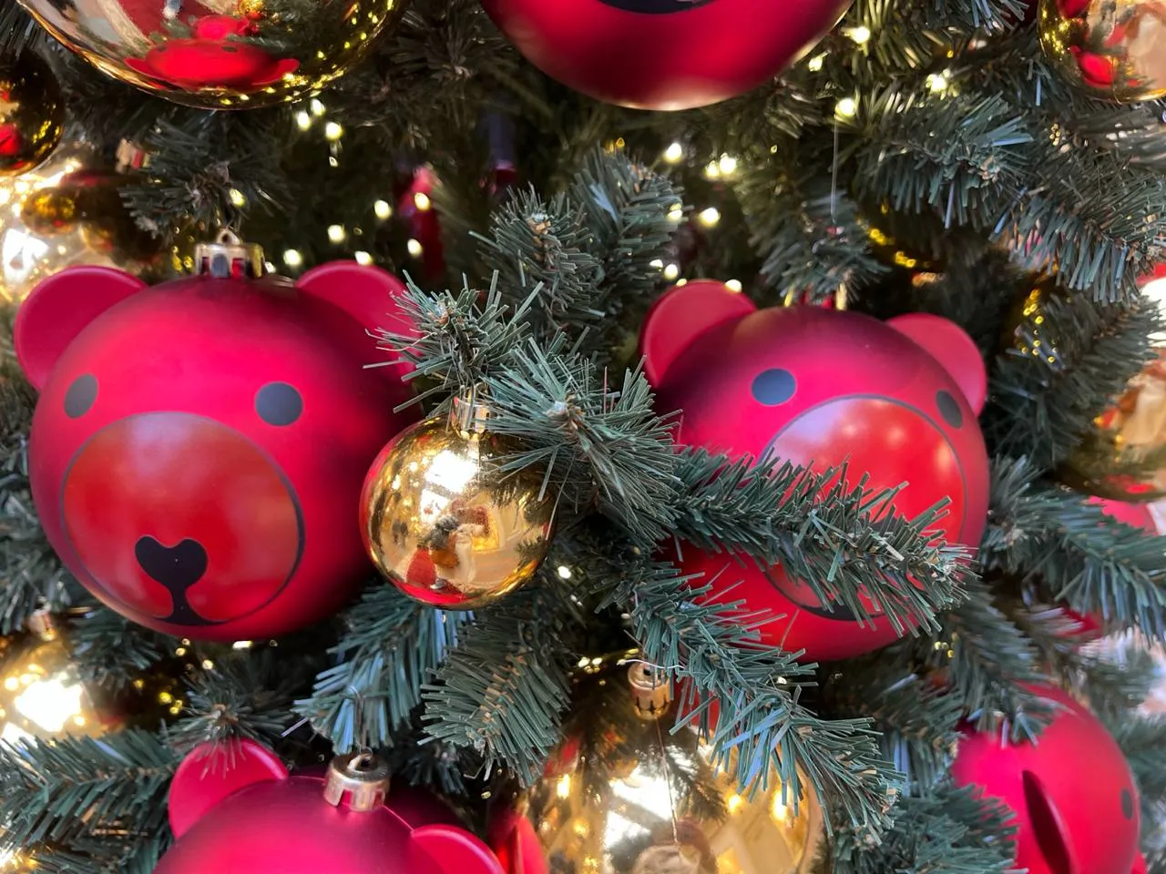 Фото: REGIONS/Елена Фурман