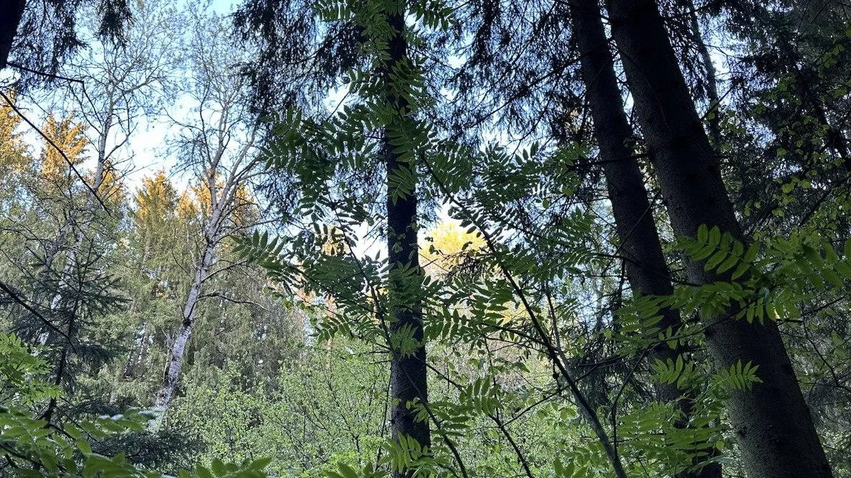 Фото: пресс-служба администрации Можайского городского округа