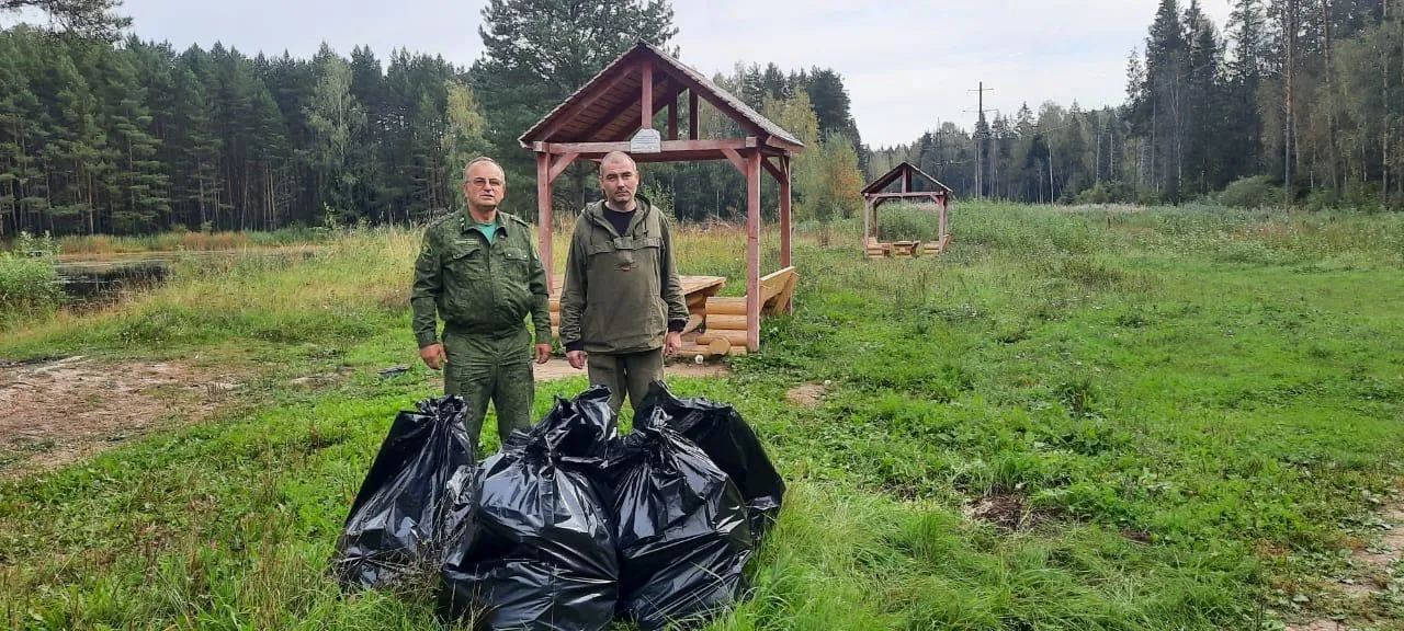Фото: Комитет лесного хозяйства Московской области