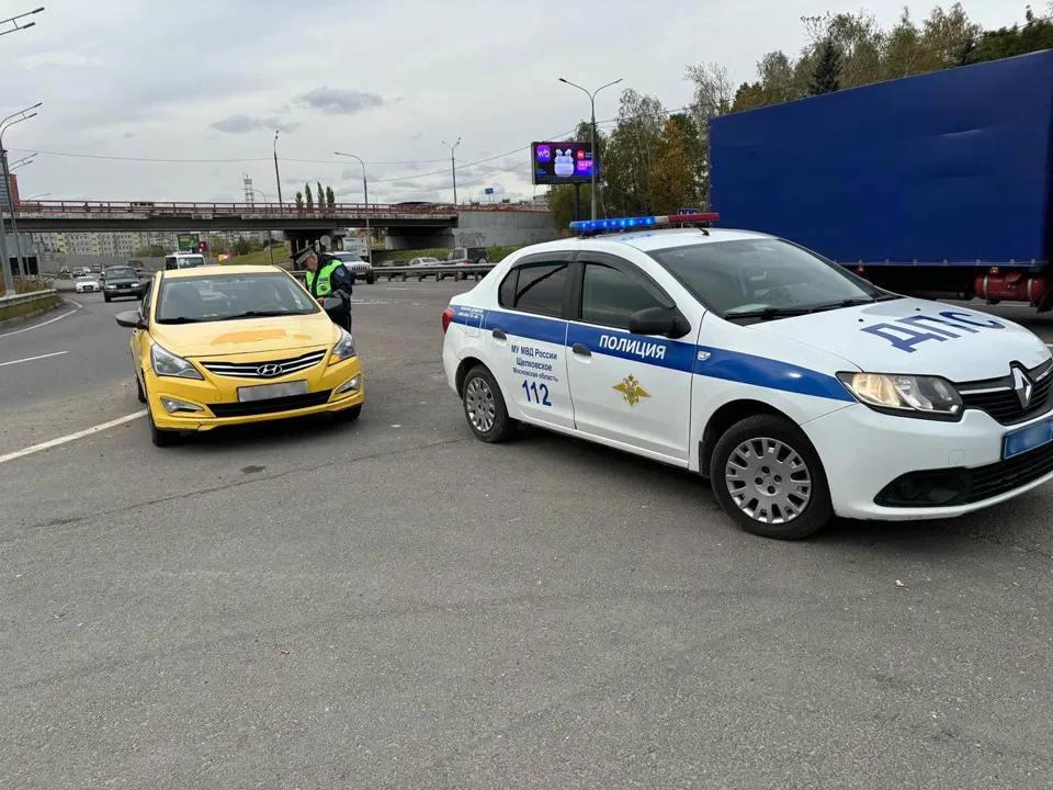 Фото: МУ МВД России «Щелковское»