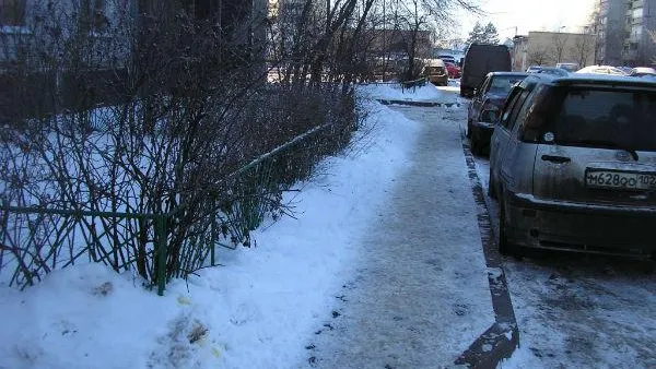 Названы самые чистые муниципалитеты Подмосковья