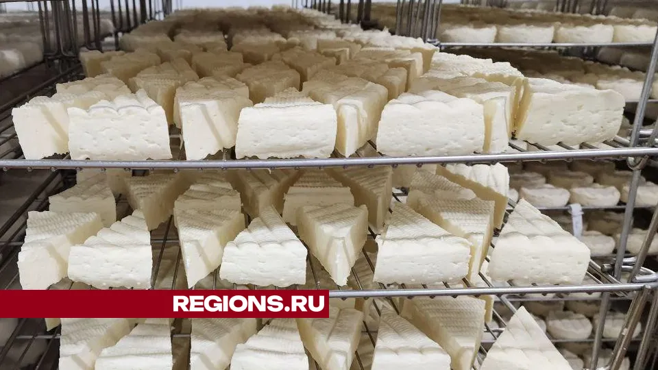 Фото: Елена Лабзина