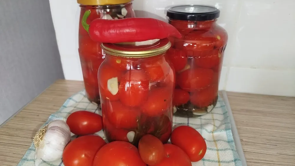 Фото: REGIONS/Юлия Куделькина