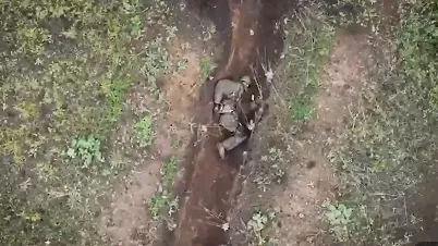 «Военкоры Русской весны» / Telegram