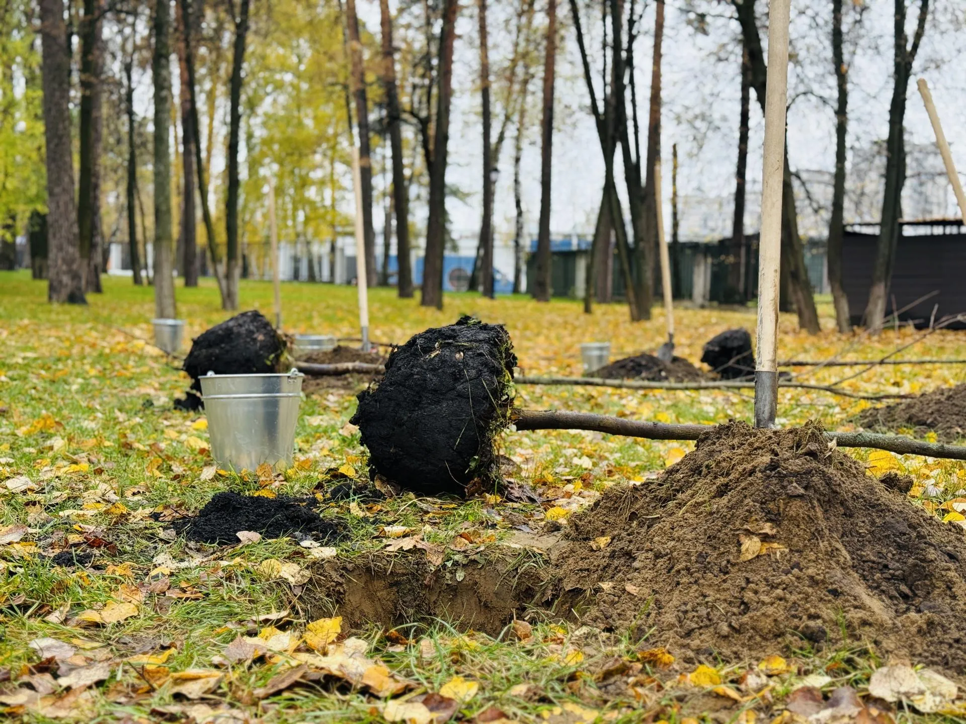 Фото: МедиаБанк Подмосковья/Ольга Стаферова