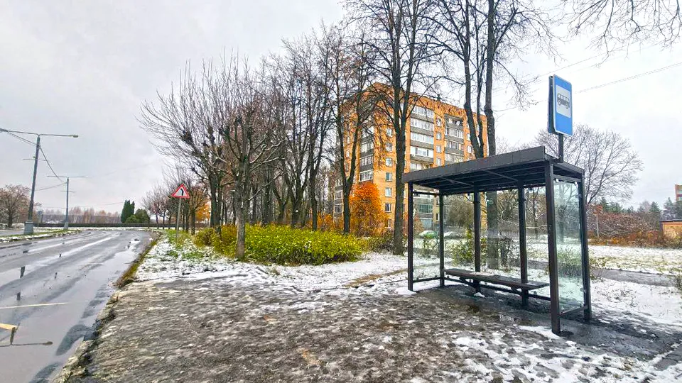 Фото: МедиаБанк Подмосковья/Мария Панина