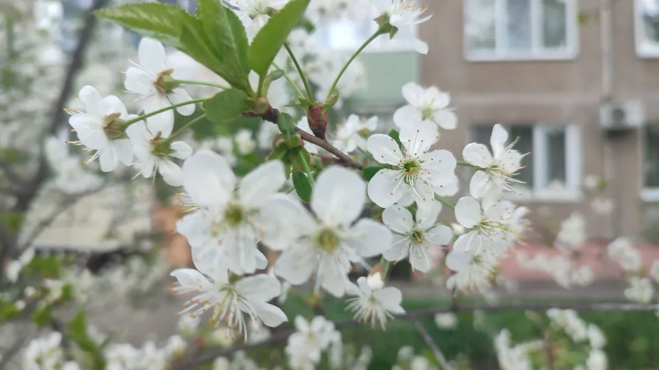 Фото: Елена Забелина