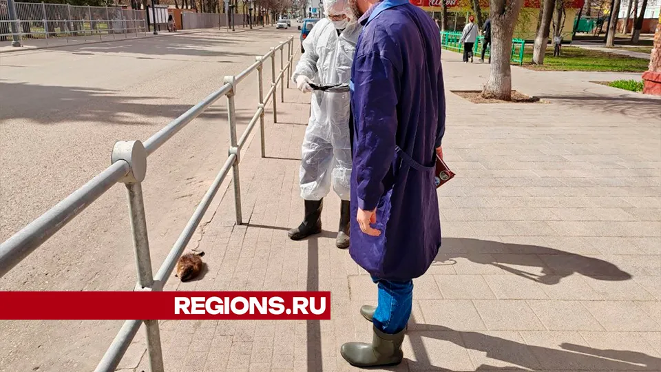 Фото: Евгений Мазепов