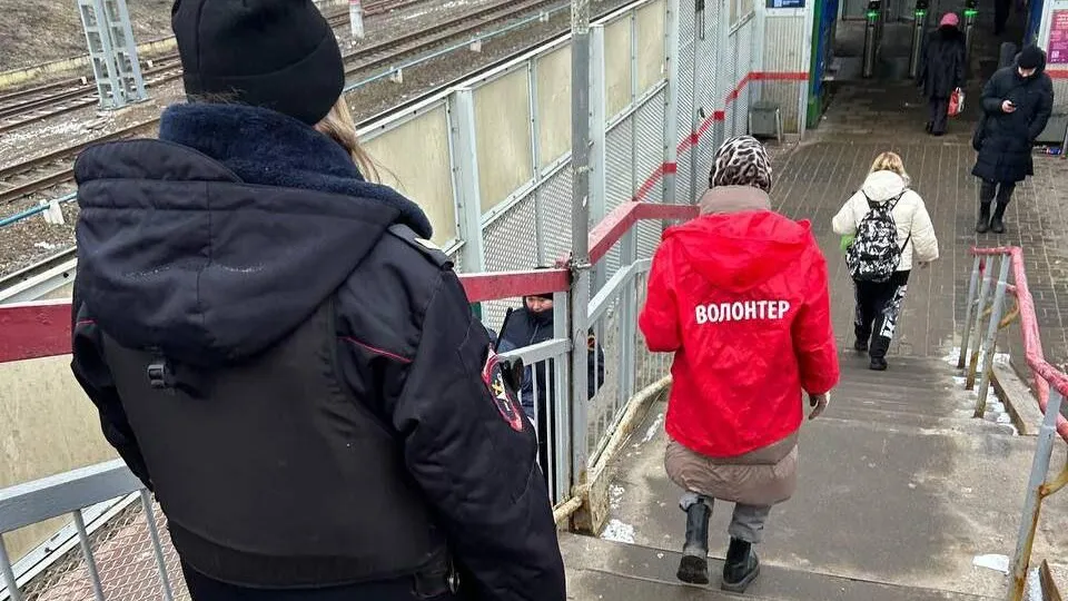 Фото: МТДИ МО