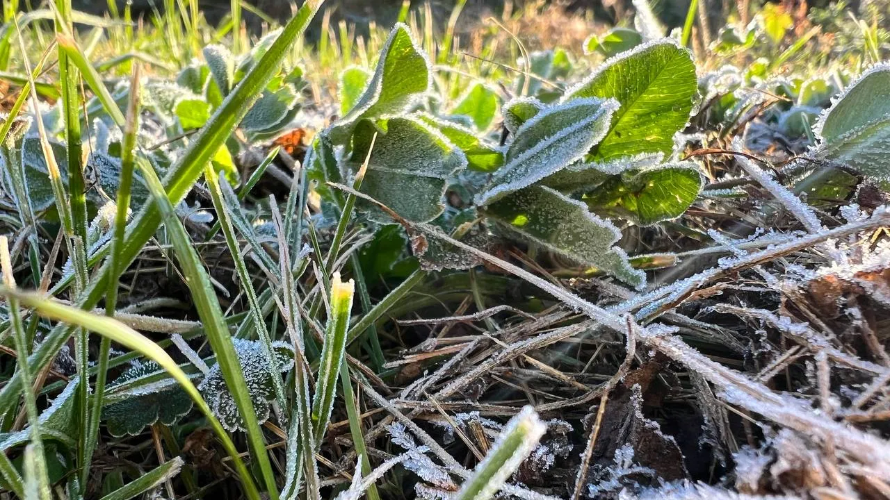 Фото: REGIONS/Елена Фурман