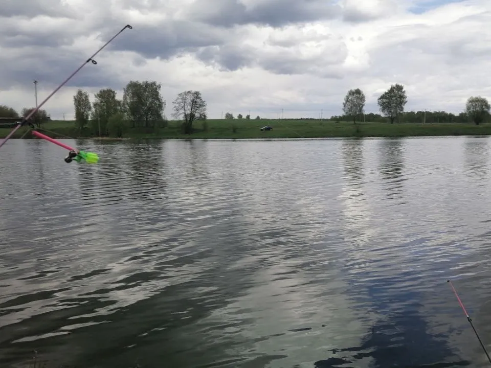 Фото: Василиса Астахова