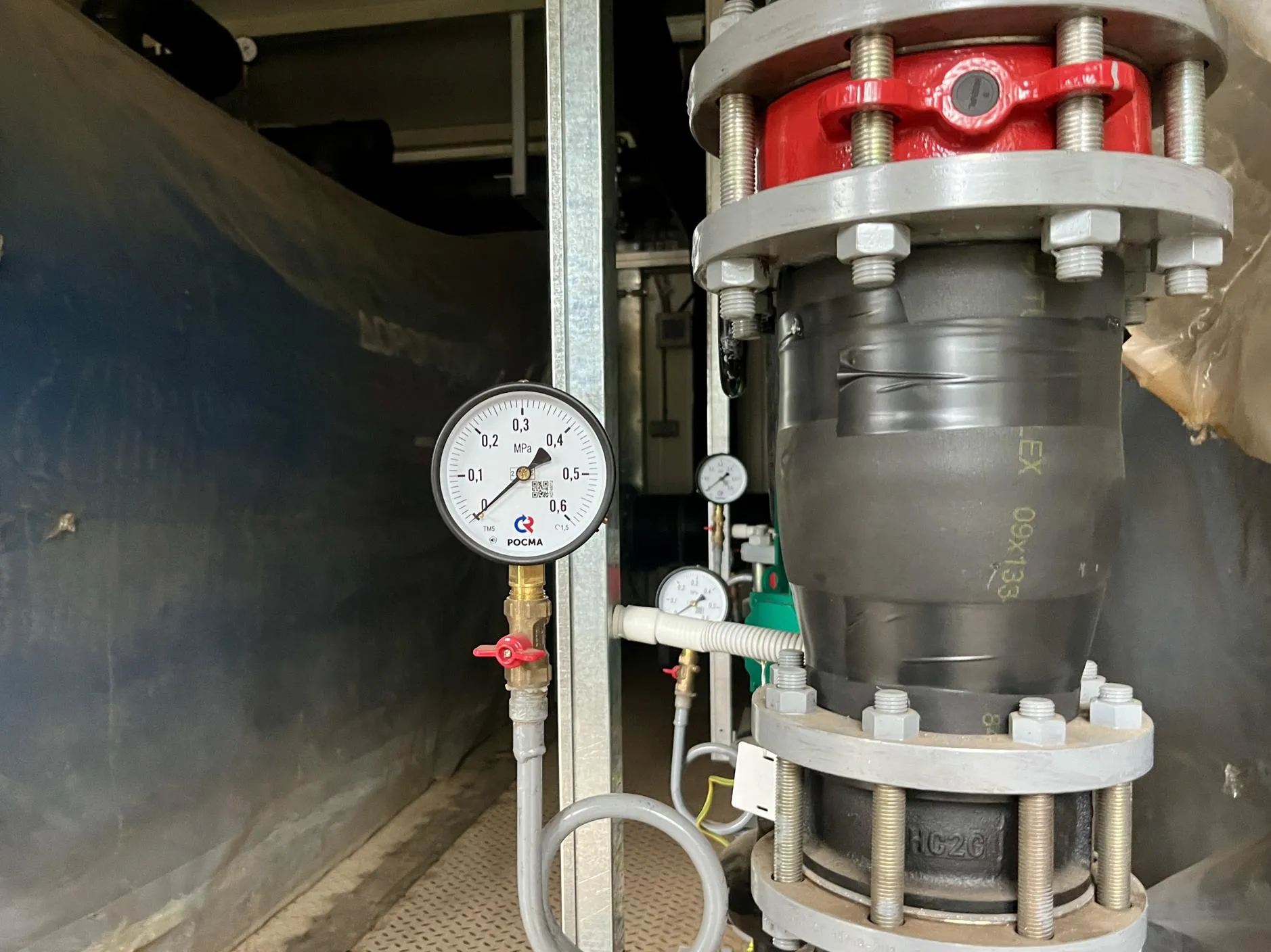 Фото: Анна Тюрюмина&nbsp; &nbsp; &nbsp; &nbsp;&nbsp;