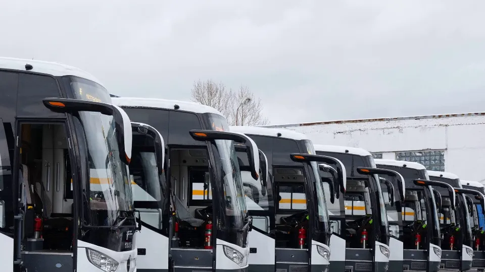 Фото: t.me/Press_MO