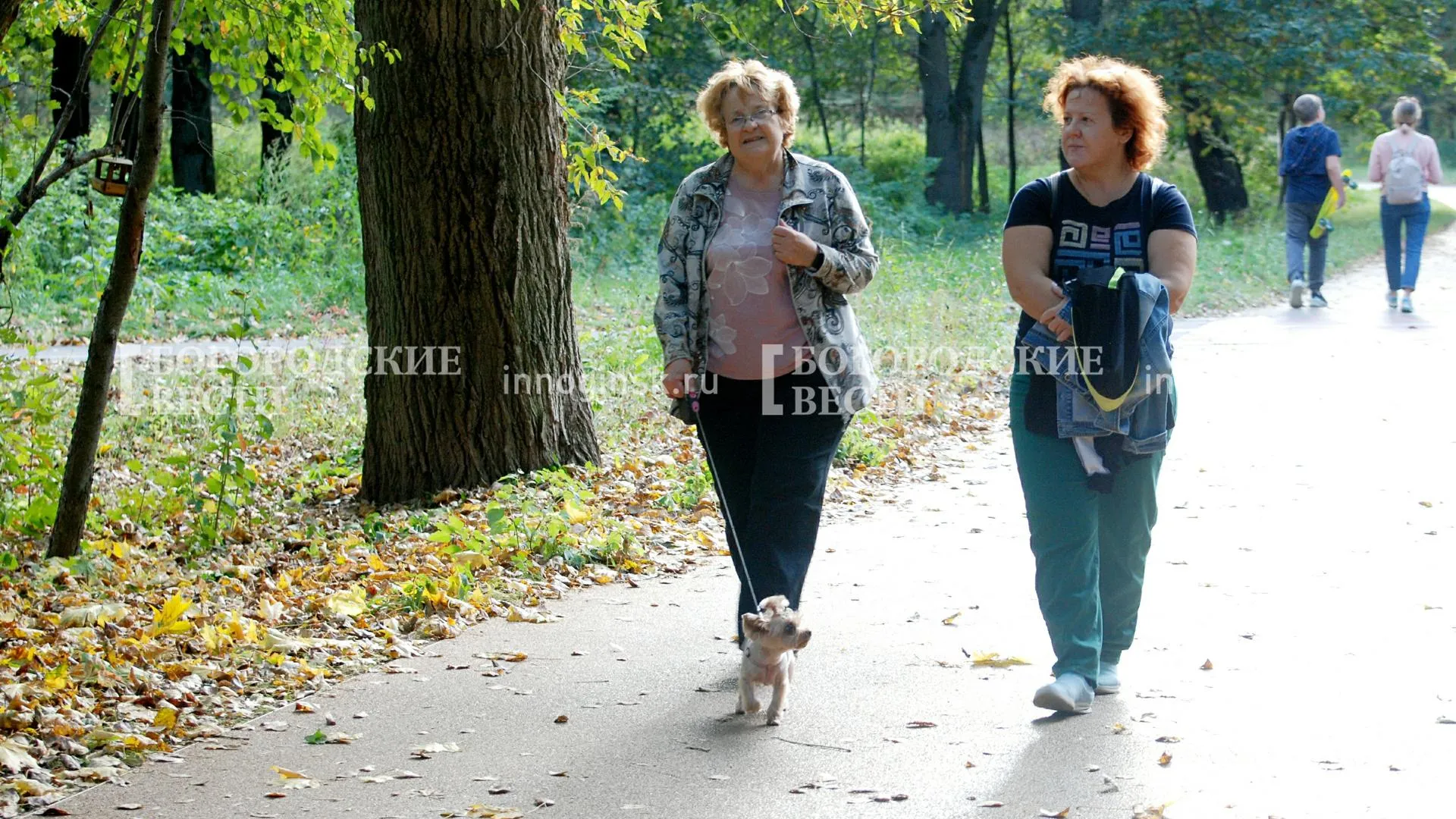 REGIONS/Александр Легкий