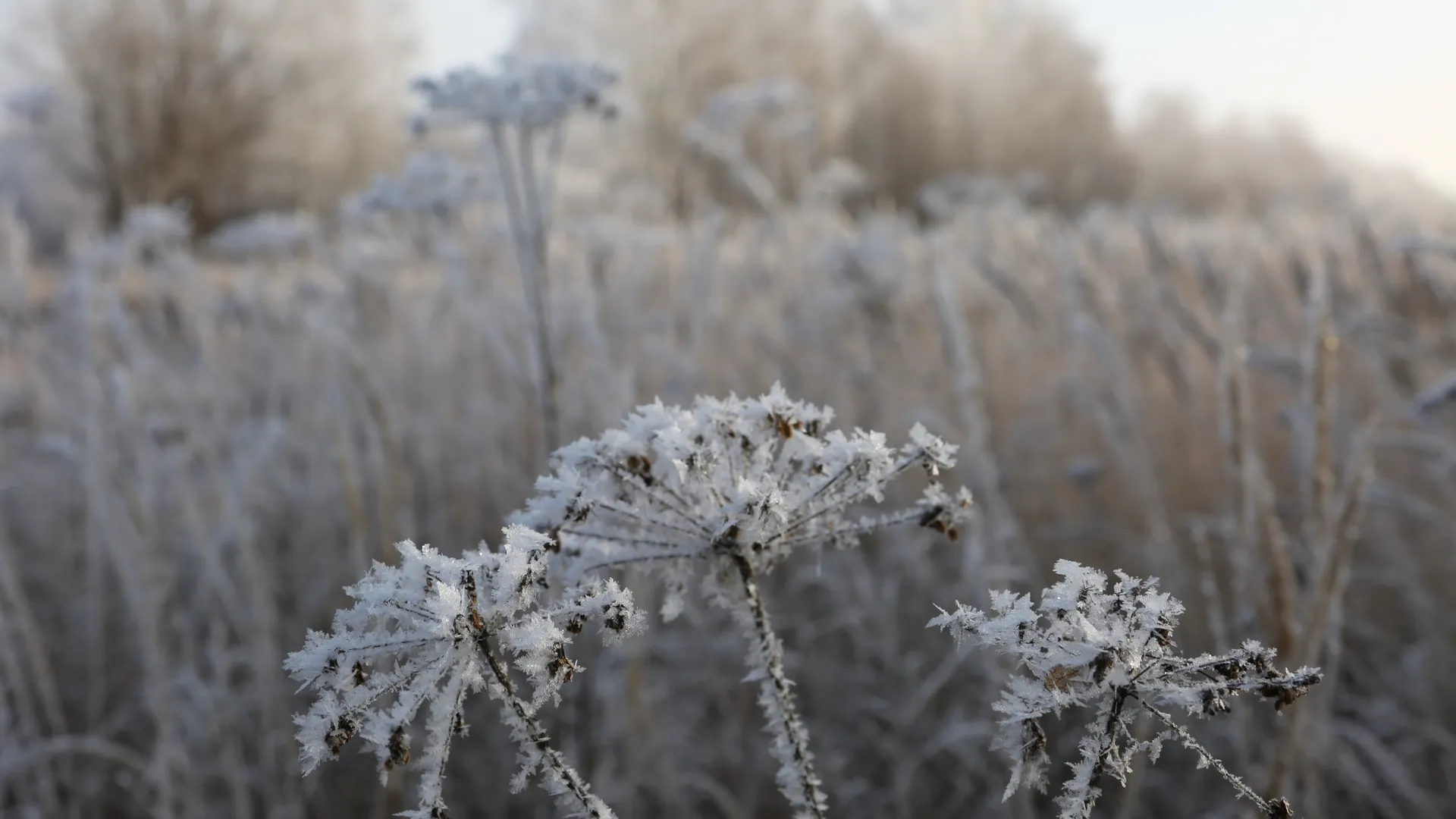 медиасток.рф