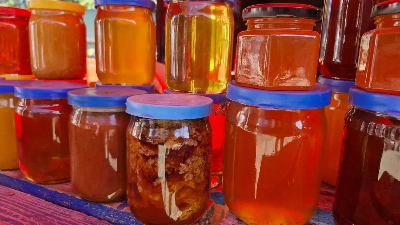 REGIONS/Наталья Надточая