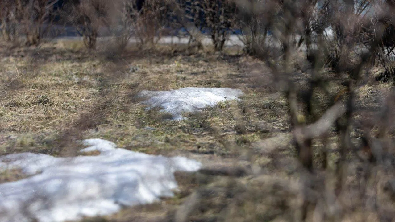 REGIONS/Роман Малышенко