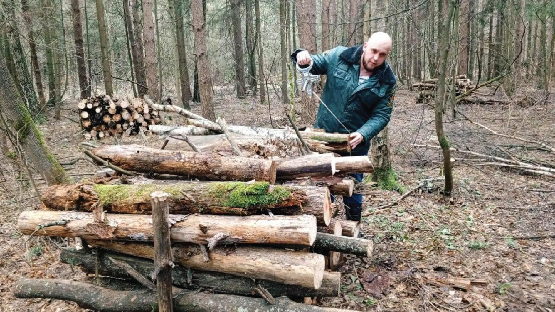 Фото: Комлесхоз МО