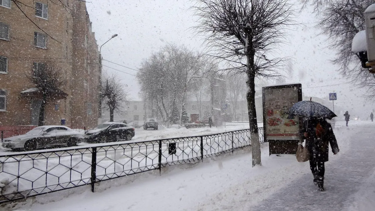 медиасток.рф