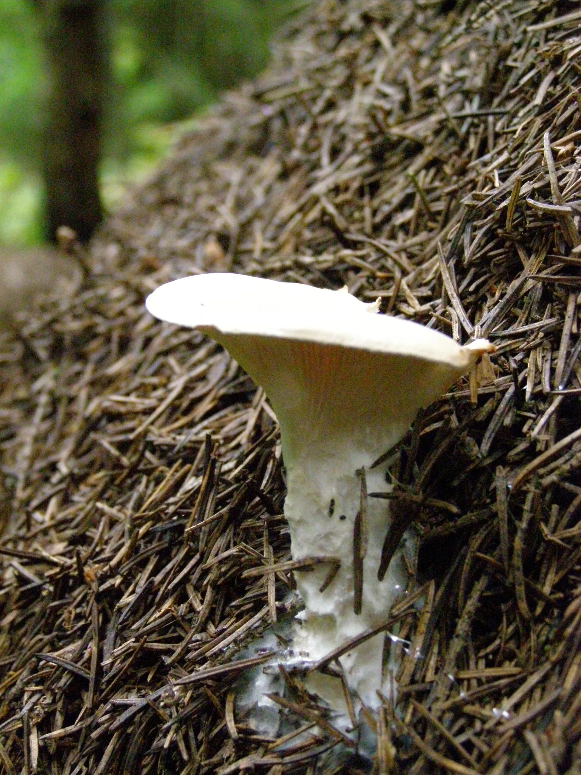 Министерство экологии и природопользования Московской области