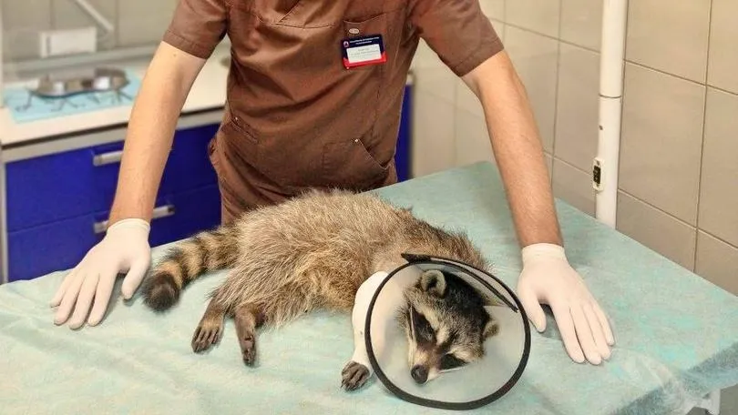 пресс-служба администрации городского округа Красногорск