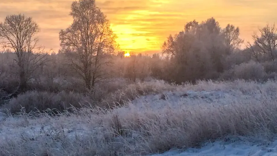 Фото: REGIONS/Роман Малышенко