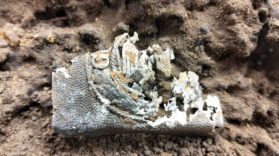 Фото: Егор Черналов