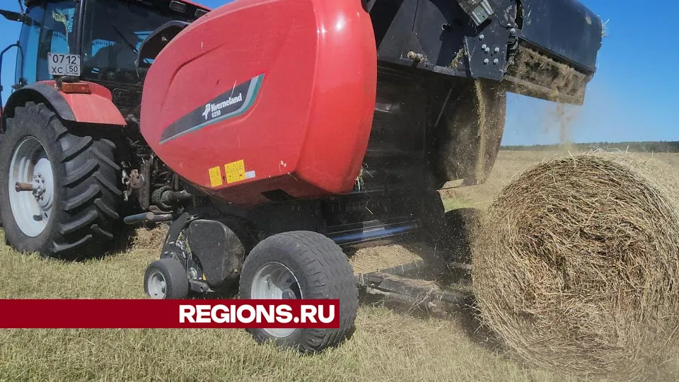 Фото: Валерий Гореловский