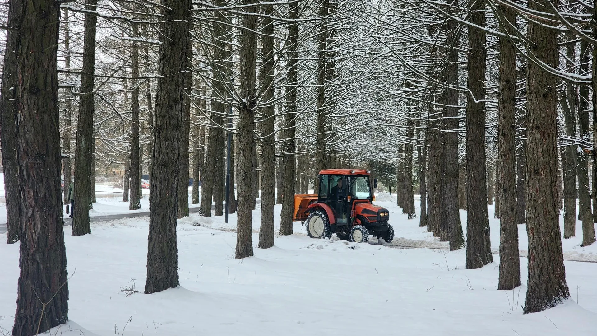Фото: Мария Панина