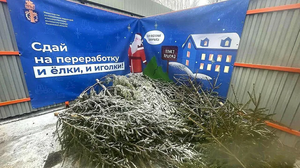 Фото: администрация м.о. Истра