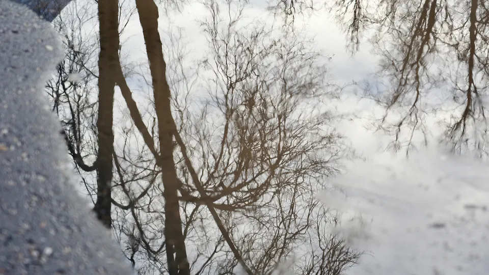 Фото: МедиаБанк Подмосковья/Дмитрий Зайчиков