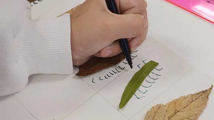 Фото: REGIONS/Валерия Тингаева