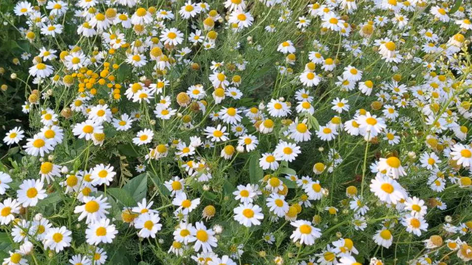 Фото: REGIONS/Юлия Габбасова