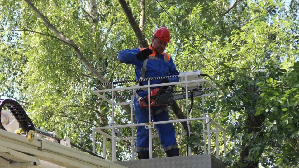 Фото: REGIONS/Василий Тремасов