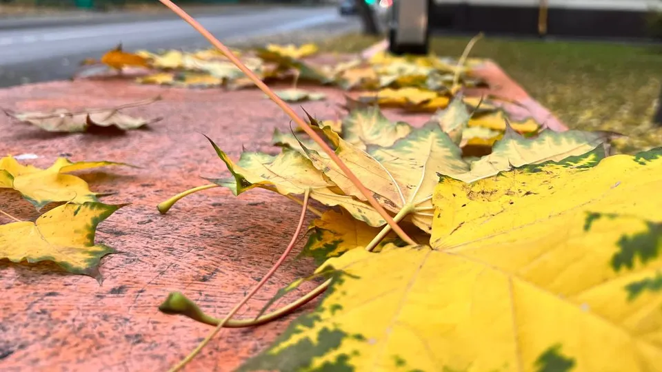 Фото: REGIONS/Елена Фурман