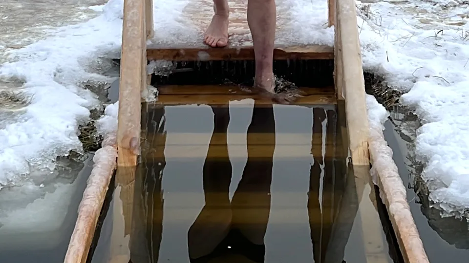 Фото: МедиаБанк Подмосковья/Елизавета Приймак