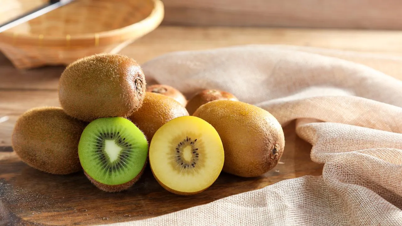 istockphoto.com/BirdShutterB